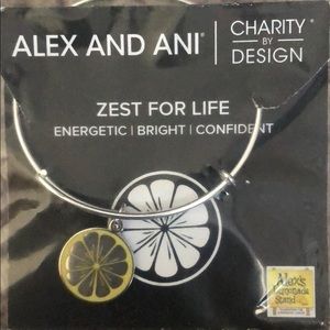 Charity by design - Alex and Ani